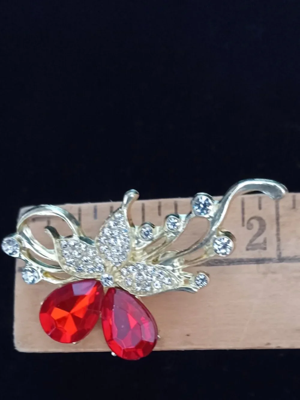 N/A unique brooch